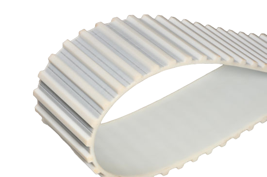 Cinturón Para Sc Largo