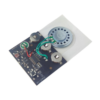 Modulo de Grabacion de Voz